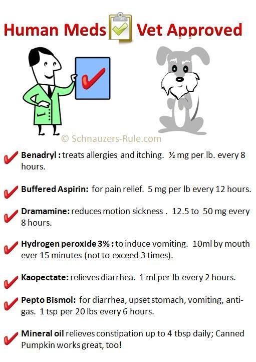 human-drugs-for-dogs