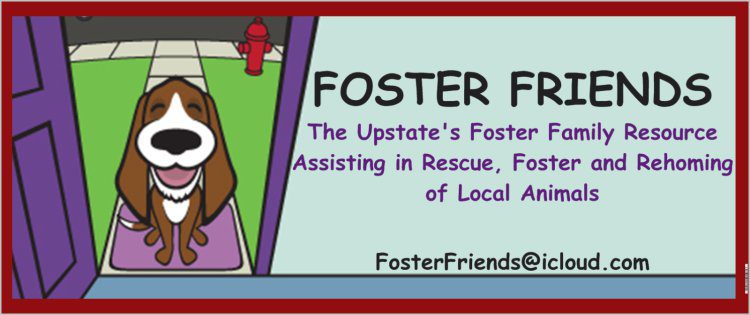 Foster Friends Logo with Border