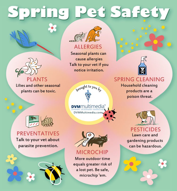Spring Infographic