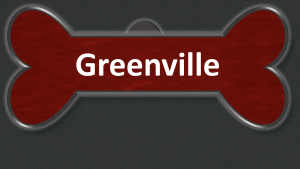 A red and black banner with the word greenville