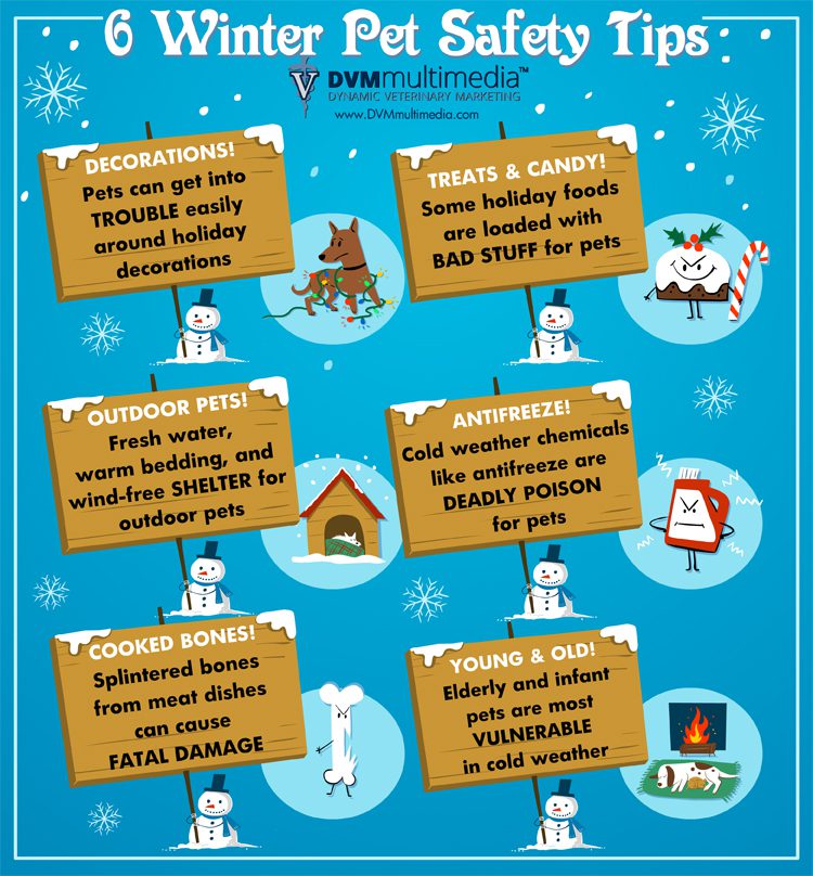 A poster with some winter pet safety tips