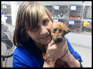 A woman holding a small dog in her arms.