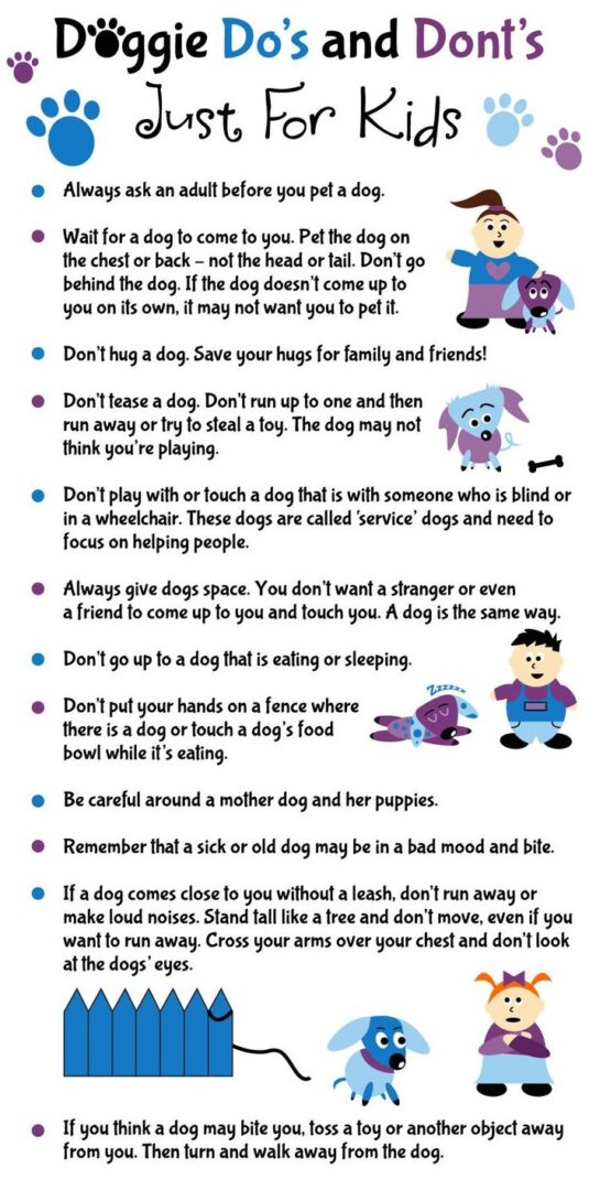 A poster with ten rules for dogs to follow.