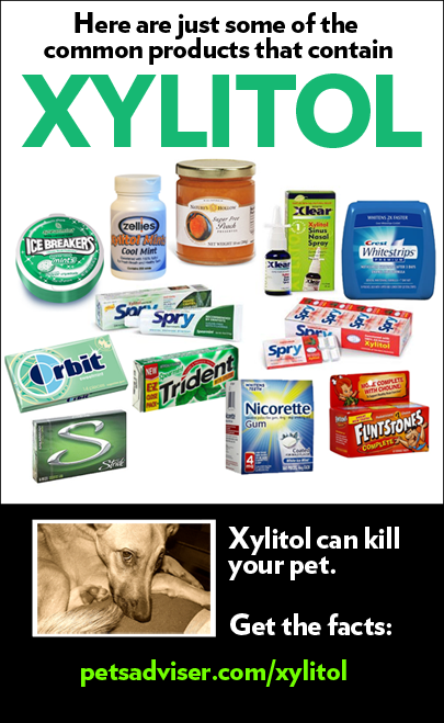 A poster with various items and the word xylitol.