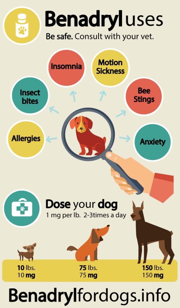 A dog 's health is important to its owners.