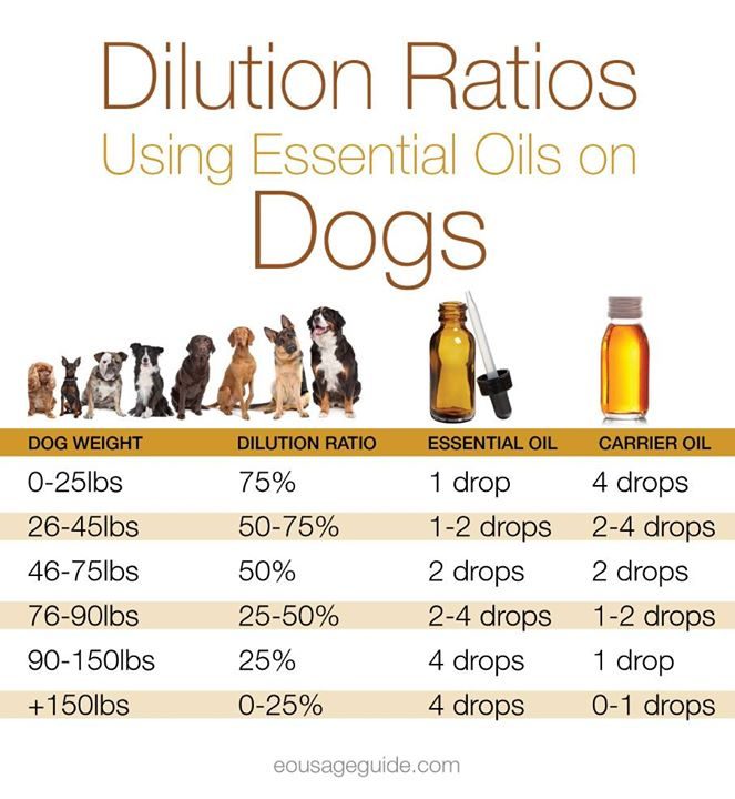 A chart showing dilution ratios for oils on dogs.