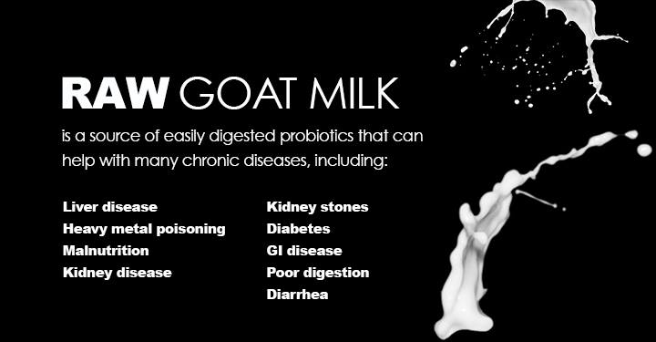 A goat milk is an important part of the diet.