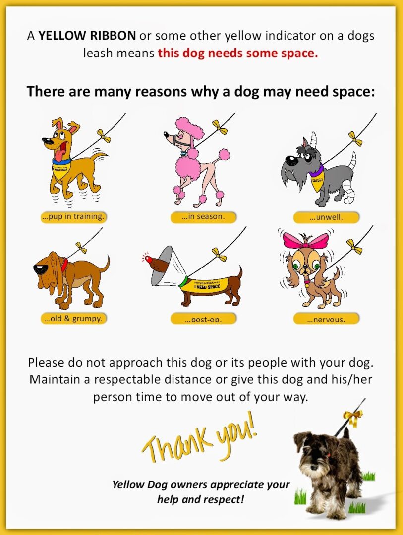 A poster with different types of dogs on it.