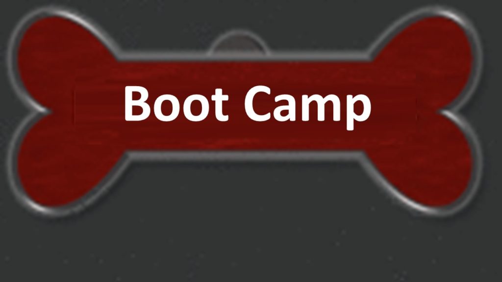 A red banner that says boot camp