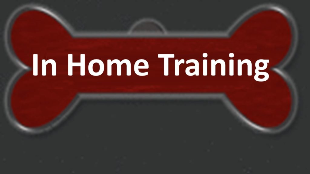 A red banner that says home training