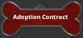Adoption Contract